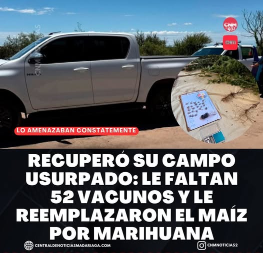 Imagen de la noticia